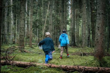 İki çocuk, sessiz ve yosunlu bir ormanda omuz omuza yürüyor. Biri mavi kapüşonlu, diğeri mavi lastik çizmeli, her biri plastik bir kap taşıyor..