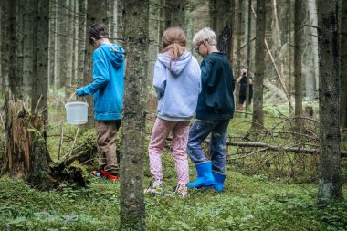 Üç çocuk sık bir ormanda, yosun kaplı zeminde kovalarla ve renkli lastik çizmelerle yürüyor..