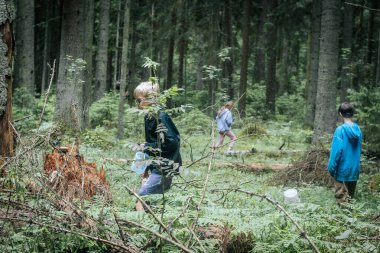Üç çocuk sık bir ormanda, yosun kaplı zeminde kovalarla ve renkli lastik çizmelerle yürüyor..