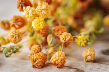 Kurumuş bir portakal çiçeğinin makro yakın plan görüntüsü. Detaylı, örtüşen taç yapraklarını yumuşak, bulanık bir arkaplanı olan ılık tonlarda gösteriyor..
