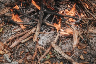 Intense flames engulf dry branches and firewood in a close-up of a campfire, glowing coals, ash and bark creating a rustic, textured scene.