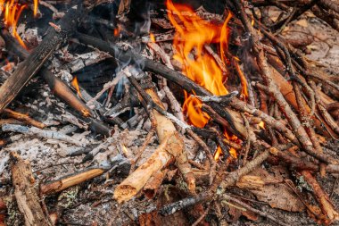 Intense flames engulf dry branches and firewood in a close-up of a campfire, glowing coals, ash and bark creating a rustic, textured scene.