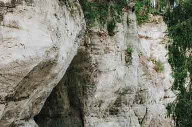 A dense forest with tall trees grows atop a moss-covered slope above a weathered rocky cliff face, showcasing layers of stone and greenery.