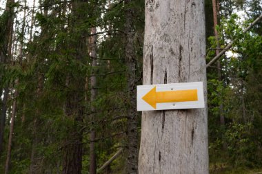 In a dense forest, a yellow arrow is attached to a tree trunk, pointing left and guiding hikers along a forest path.