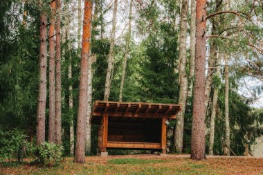 A small wooden shed with a sloping roof, nestled among tall pines and birches in a peaceful forest setting. The ground is covered with fallen leaves.