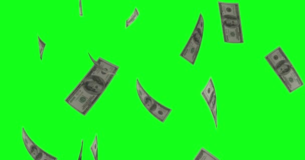Грошовий Дощ Зелений Екран Політ 100 Доларів Купюр Банкноти Падіння — стокове відео