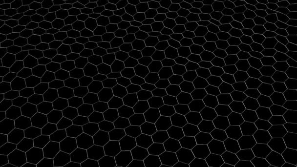 ブラックバックで六角形の波 六角形の形の関係の波流れる サイバー技術抽象的な背景黒く 白い色 — ストック動画