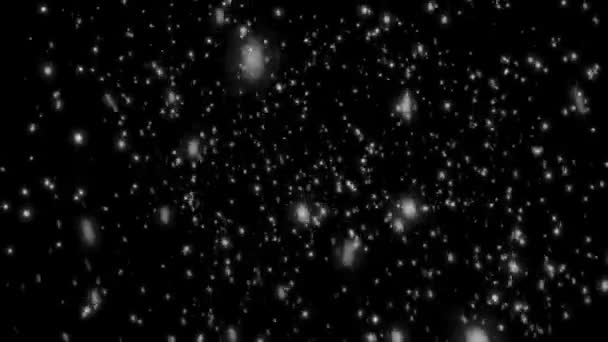黒い背景に雪が降っている 4Kモーショングラフィックス 雪のオーバーレイ ゆっくりと雪が降る効果 抽象的な素粒子の背景 シームレスなループ 冬の天気オーバーレイ — ストック動画