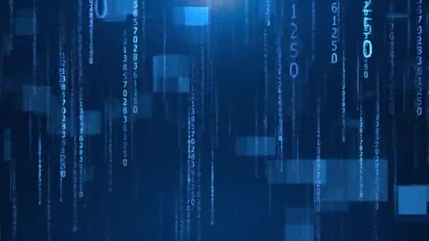 Fondo Código Binario Azul Abstracto Desarrollador Web Código Informático Digital — Vídeos de Stock