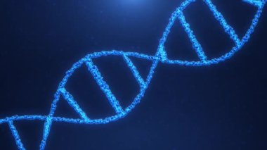Parçacıklardan soyut DNA molekülü. Dijital DNA 'nın animasyonu, insan genomu. Genetik mühendisliği, tıbbi araştırma, biyoloji. Dönen DNA iplikçiklerinin kusursuz döngü arkaplan canlandırması