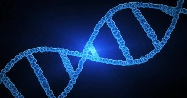 Soyut DNA molekülü. Dijital DNA 'nın kavramsal animasyonu, insan genomu. Genetik mühendisliği, tıbbi araştırma, biyoloji. Dönen DNA zincirlerinin kusursuz döngü arkaplan canlandırması