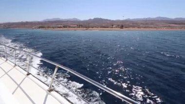 Ürdün 'de Kızıl Deniz' de dolaşmak.