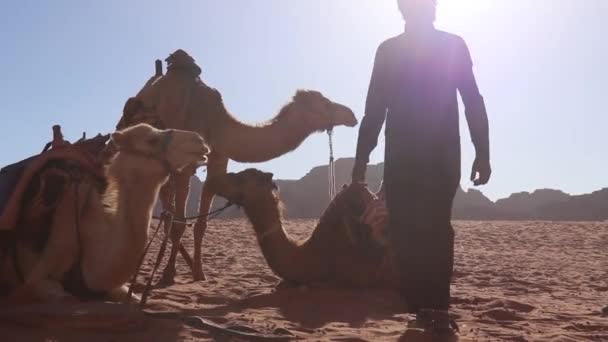Uma Experiência Autêntica Viajar Caravana Camelo Wadi Rum Jordânia — Vídeo de Stock