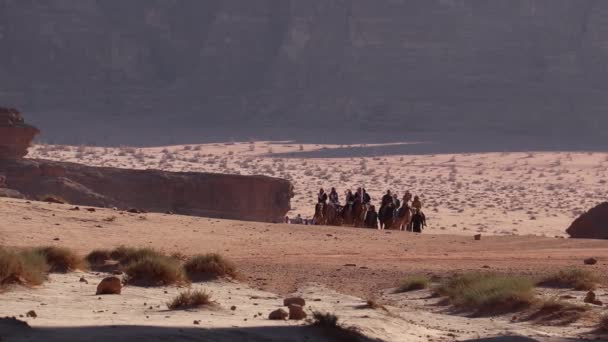Een Authentieke Belevenis Van Reizen Met Kameel Caravan Wadi Rum — Stockvideo
