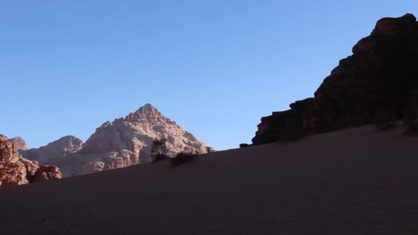 Authentic Experience Travelling Camel Caravan Wadi Rum Jordan — Stock Video