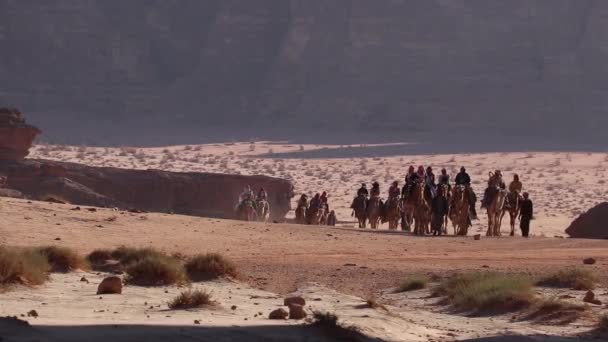 Eine Authentische Erfahrung Des Reisens Mit Der Kamelkarawane Wadi Rum — Stockvideo