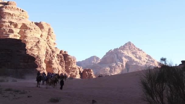 Una Auténtica Experiencia Viajar Caravana Camellos Wadi Rum Jordania — Vídeos de Stock