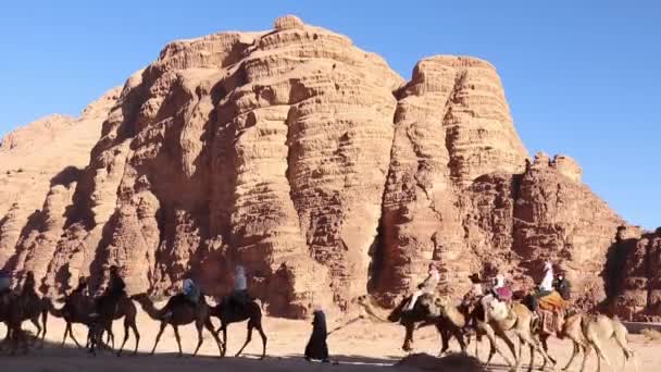 Autentický Zážitek Cestování Velbloudí Karavanou Wadi Rum Jordan — Stock video