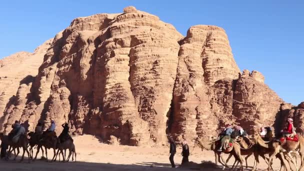 Una Auténtica Experiencia Viajar Caravana Camellos Wadi Rum Jordania — Vídeos de Stock