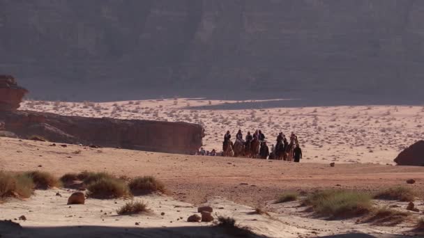Eine Authentische Erfahrung Des Reisens Mit Der Kamelkarawane Wadi Rum — Stockvideo