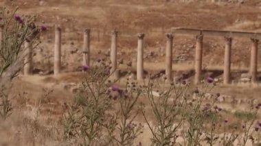 Ürdün 'ün harabe şehri Jerash