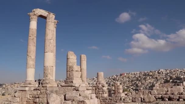 Colonnes Antiques Citadelle Amman Jordanie — Video