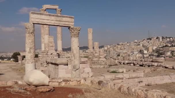 Ősi Oszlopok Jordániai Amman Citadellában — Stock videók