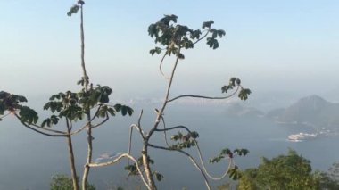 Şekerli teleferik, Rio de Janeiro, Brezilya 'da bir kablo.