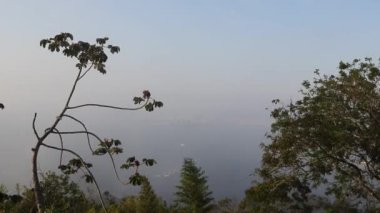 Şekerli teleferik, Rio de Janeiro, Brezilya 'da bir kablo.