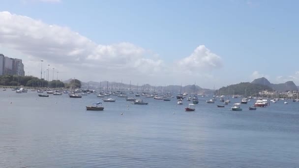 Haven Van Cruise Bij Guanabara Bay Rio Janeiro — Stockvideo