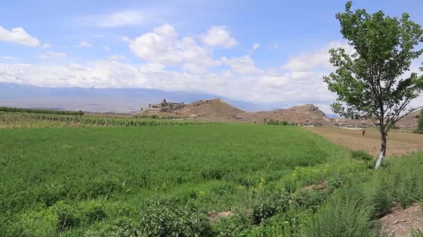 Khor Virap Arka Planda Ermenistan Ağrı Dağı Ile — Stok video