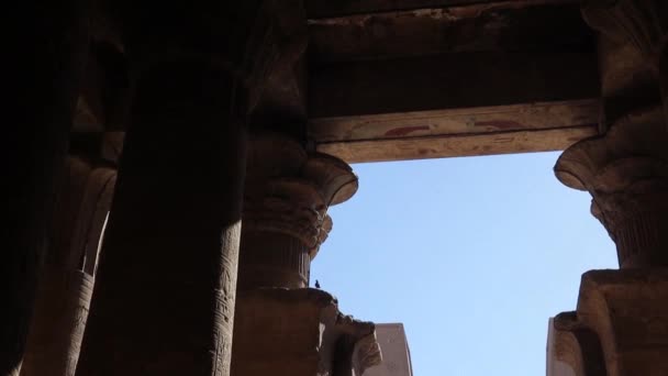이집트 최초의 나일론 전시되어 에드푸 의주입구 — 비디오