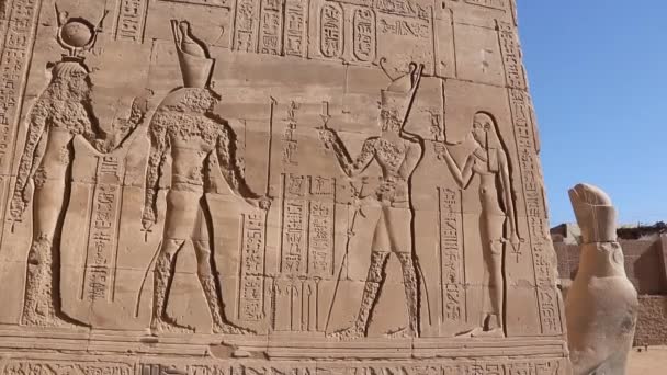 Hoofdingang Van Edfu Tempel Toont Eerste Pyloon Egypte — Stockvideo