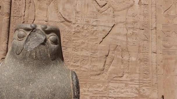 Αρχαία Αιγυπτιακό Άγαλμα Γρανίτη Του Γερακιού Επικεφαλής Θεός Στο Ναό — Αρχείο Βίντεο