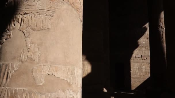 Befrielser Väggarna Templet Edfu Egypten — Stockvideo