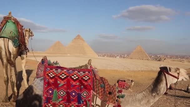 埃及吉萨金字塔古埃及吉萨金字塔 — 图库视频影像
