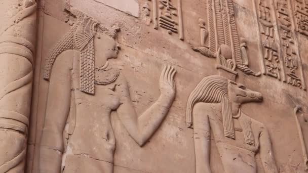 Tempel Von Kom Ombo Ägypten — Stockvideo