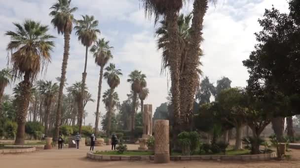 Статуя Рамсеса Музее Открытым Небом Мемфиса Египет — стоковое видео