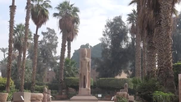 Статуя Рамзеса Музеї Просто Неба Мемфісі Єгипет — стокове відео