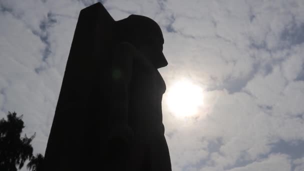 Статуя Рамсеса Музее Открытым Небом Мемфиса Египет — стоковое видео