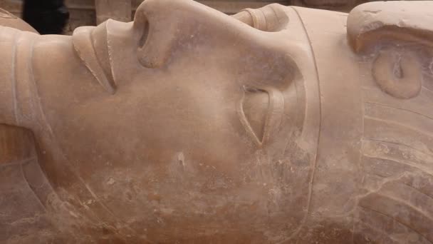 Ramszesz Szobra Szabadtéri Múzeum Memphis Egyiptom — Stock videók