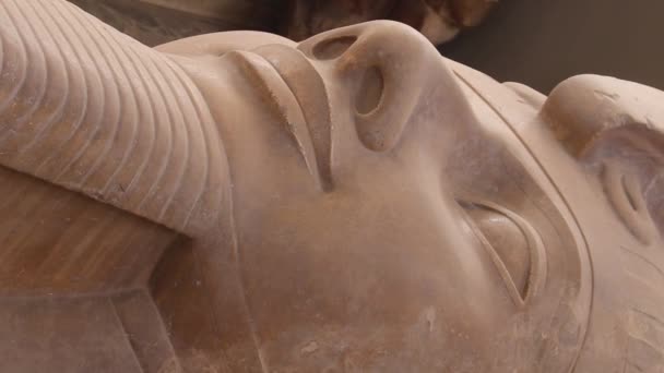 エジプト メンフィスの野外博物館にあるラムセス2世像 — ストック動画