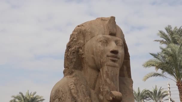 埃及孟菲斯露天博物馆里的雪花石膏狮身人面像 — 图库视频影像