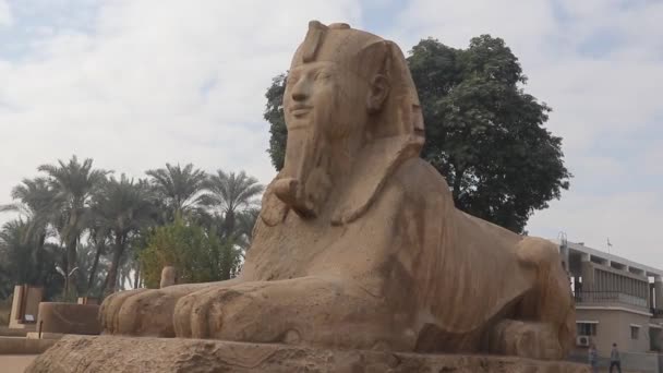 Albasten Sfinx Het Openluchtmuseum Van Memphis Egypte — Stockvideo