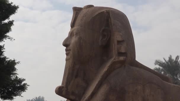 埃及孟菲斯露天博物馆里的雪花石膏狮身人面像 — 图库视频影像