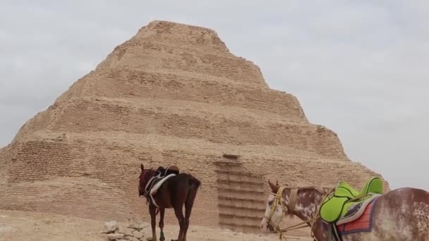 埃及萨卡拉Djoser阶梯金字塔的修复工作 — 图库视频影像