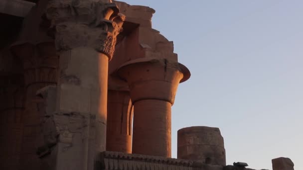 Temple Kom Ombo Egypte — Video