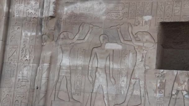 Sobek Ανακούφιση Στο Ναό Του Kom Ombo Στην Αίγυπτο — Αρχείο Βίντεο