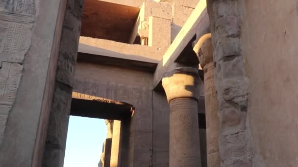 Tempio Kom Ombo Egitto — Video Stock