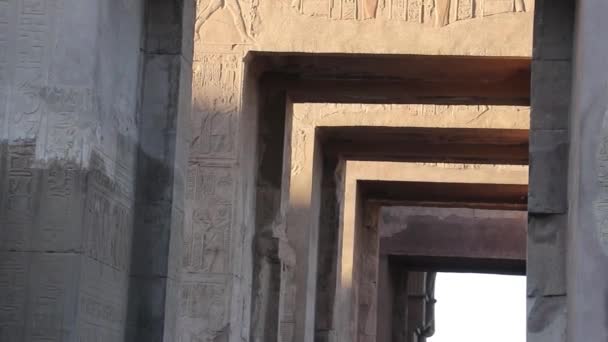 Temple Kom Ombo Egypte — Video